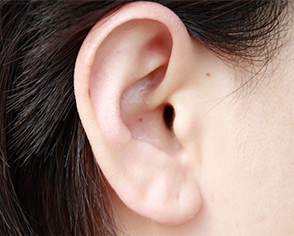 귀는 청각기관으로 5감 중 하나를 담당하는 주요 기관입니다.